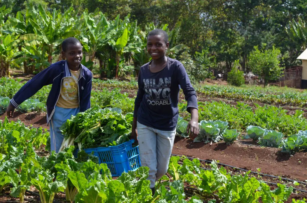 maasai girls learning about ecofarming and circular economy in Tanzania