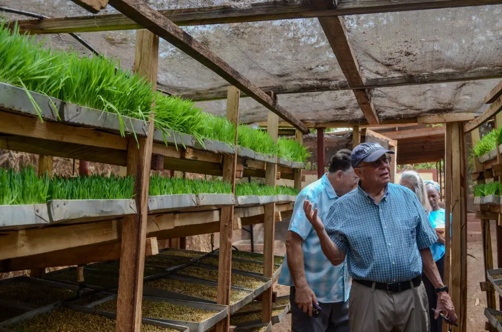 visitors touring the hydrophonics area on the MGRC ecofarm in Tanzania