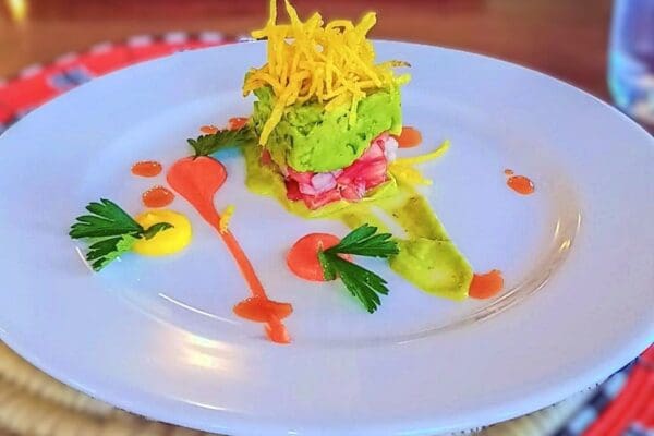 Meat skewers with guacamole and sauce Organic, locally grown meat skewers with guacamole and sauce