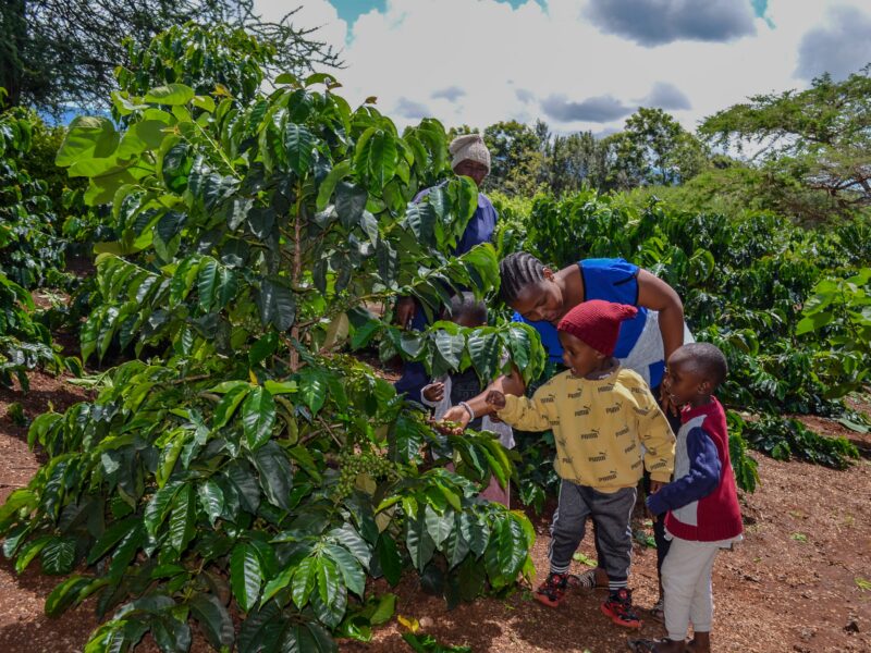 baby class learning about eco farming at maasai girls rescue center